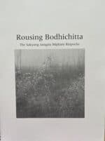 Rausing Bodhichitta book cover with rain droplets on glass, Tibetan Buddhist teachings, spiritual growth and compassion, art and literature.